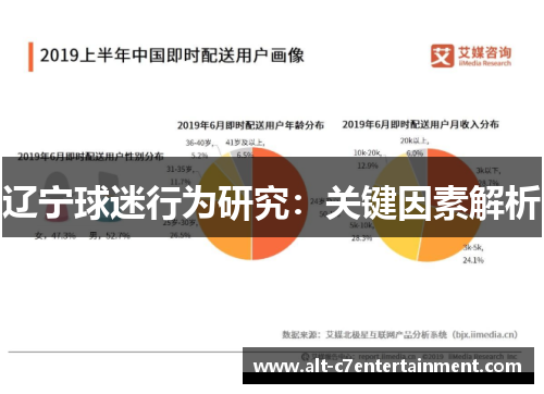 辽宁球迷行为研究：关键因素解析