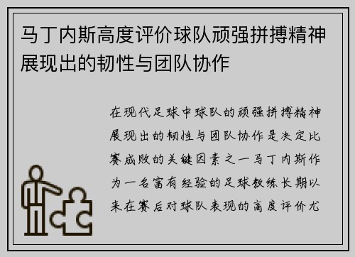 马丁内斯高度评价球队顽强拼搏精神展现出的韧性与团队协作